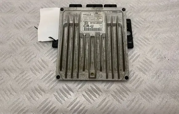 KIA Carnival Engine control unit/module 391024X520