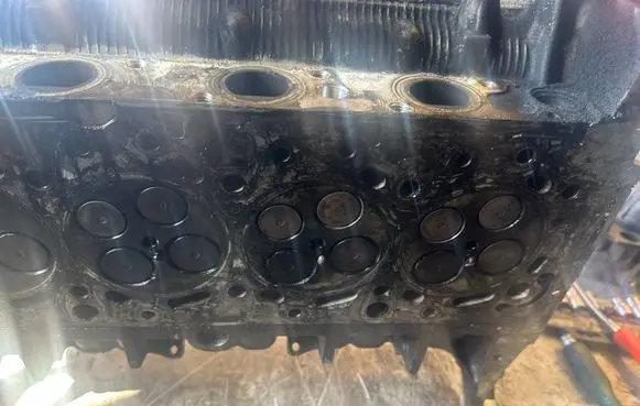 Opel Vectra C Engine head 55561003
