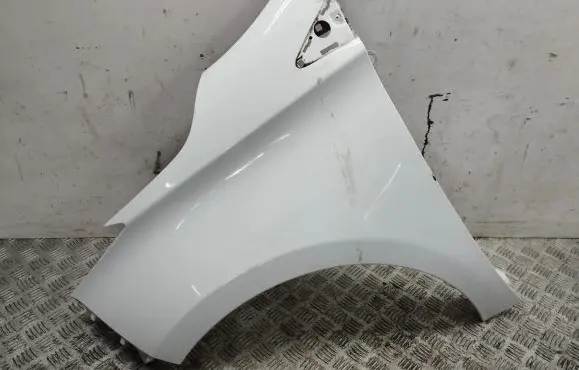 Renault Zoe Fender