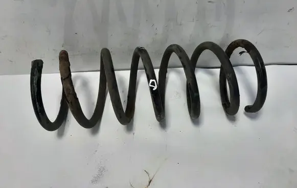 Rear coil spring