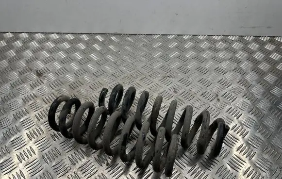 Rear coil spring