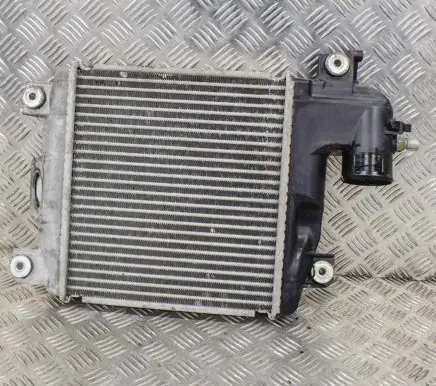 Toyota Hilux (AN10, AN20, AN30) Intercooler radiator TG1270001031