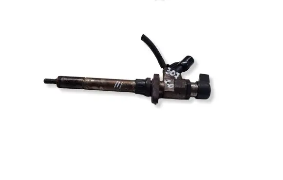 Peugeot 307 Fuel injector 9657144580 EJ0440005