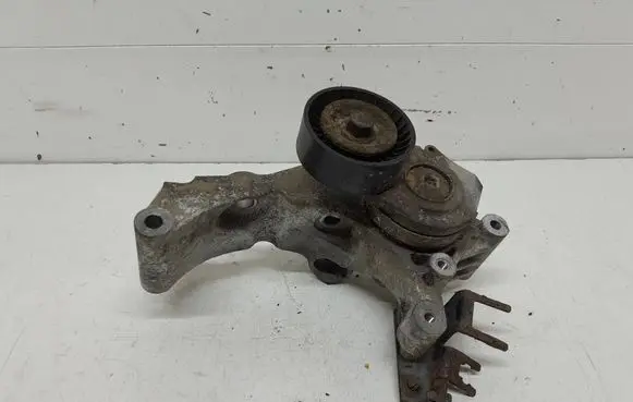 Opel Astra J Generator/alternator belt tensioner 55565570
