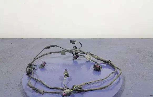 BMW M4 F82 F83 Other wiring loom 5A059C9