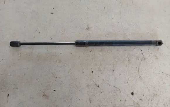 Tailgate/trunk strut/damper