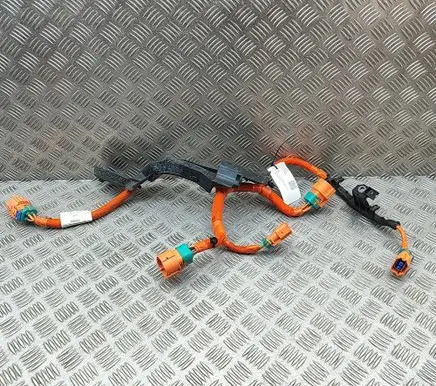 Ford Mustang Mach-E Other wiring loom LJ9814B323AE