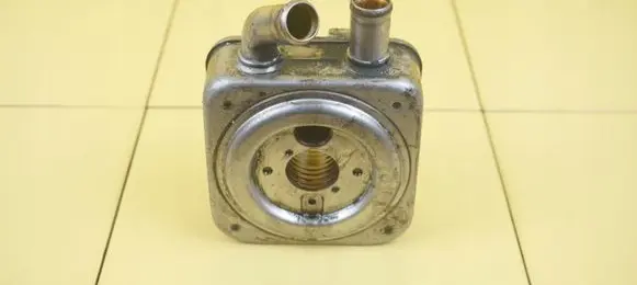 Hyundai Santa Fe Engine oil radiator D4EB