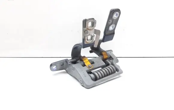 Tailgate/trunk/boot hinge