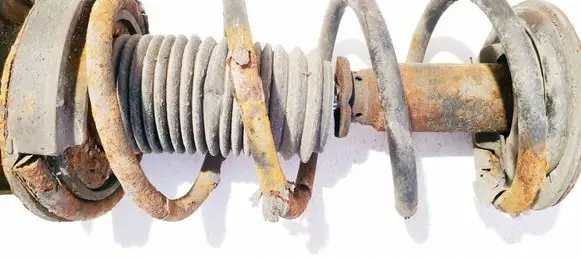 Rear coil spring