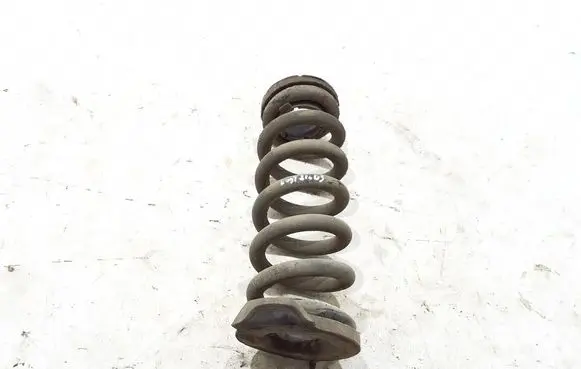 Rear coil spring