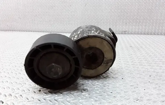 Citroen Berlingo Generator/alternator belt tensioner