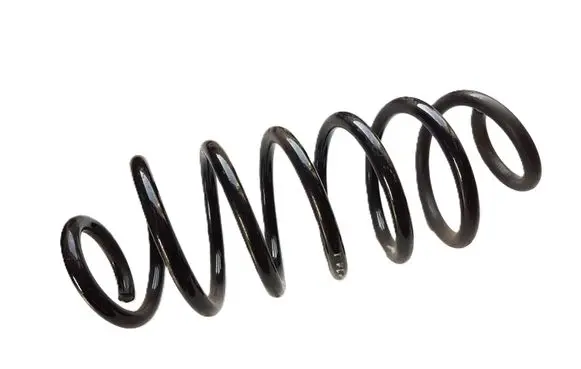 Ford Focus Rear coil spring