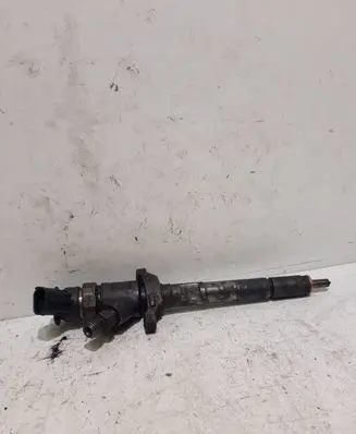 Peugeot 207 Fuel injector 0445110311