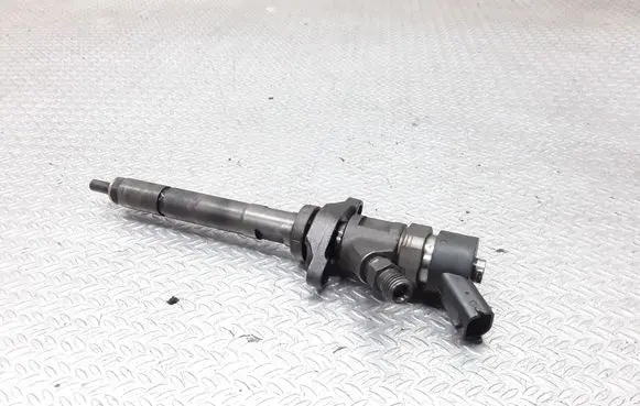 Citroen C5 Fuel injector 0445110259