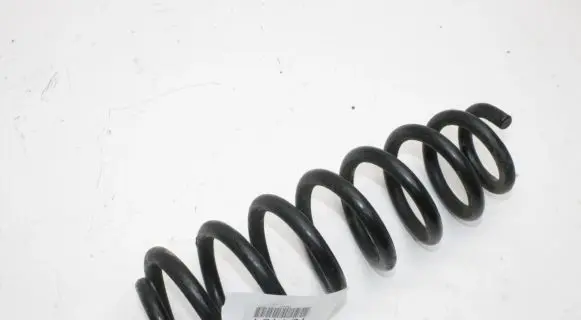 Opel Insignia B Rear coil spring