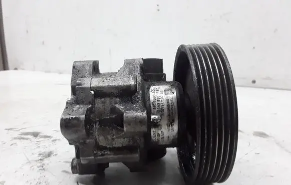 Peugeot 406 Power steering pump 9614660480