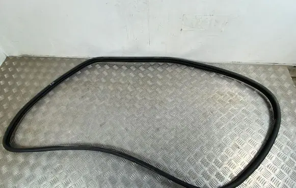Renault Arkana Rear door rubber seal (on body) 