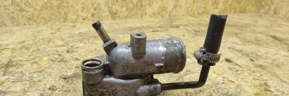 Thermostat/thermostat housing