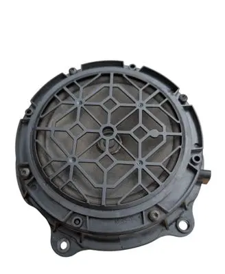 Citroen C5 Front door speaker 