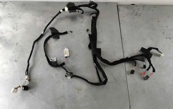 Other wiring loom