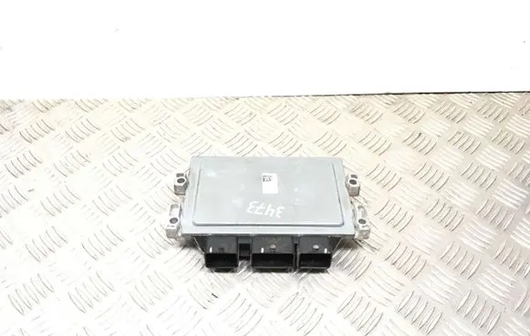 Renault Twingo II Engine control unit/module S120200113 50436 896213113