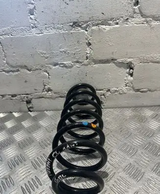 Volkswagen PASSAT CC Rear coil spring