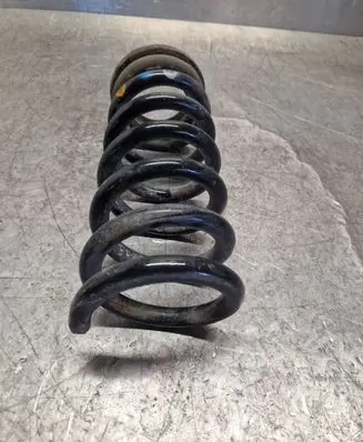 Rear coil spring