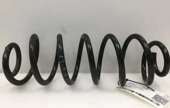 Volkswagen Golf V Rear coil spring 