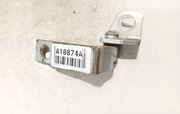 Ford Focus Rear door lower hinge