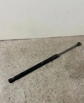 Tailgate strut