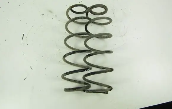 Renault Laguna III Rear coil spring 
