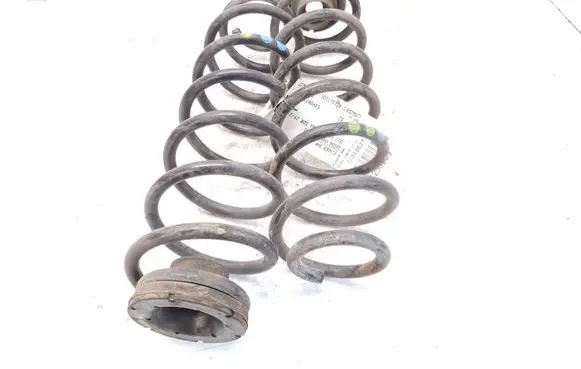 Skoda Fabia Mk3 (NJ) Rear coil spring