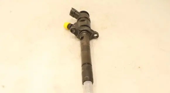 Volvo C30 Fuel injector 0445110311