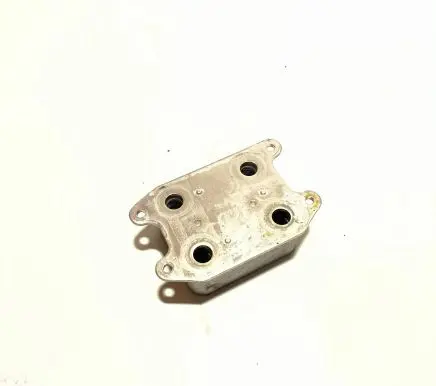 Skoda Fabia Mk4 (6VA) Oil filter mounting bracket 04E117021L