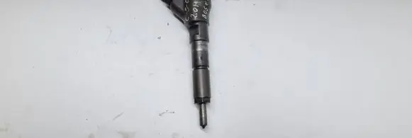 Citroen C5 Fuel injector 0445110076