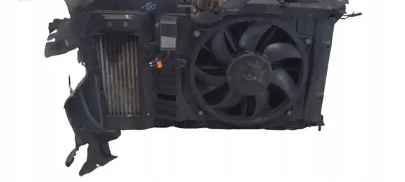 Citroen DS4 Radiator set 
