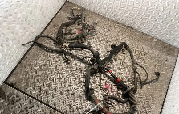 Toyota Land Cruiser (J120) Engine installation wiring loom 