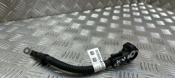 Hyundai Tucson IV NX4 Negative earth cable (battery) 91660P0100