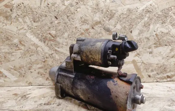 Mercedes-Benz S W220 Starter motor 1005821904