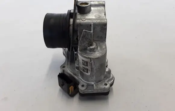 Renault Koleos II Throttle valve