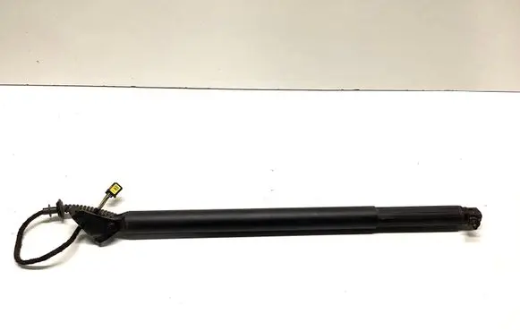 Tailgate/trunk strut/damper
