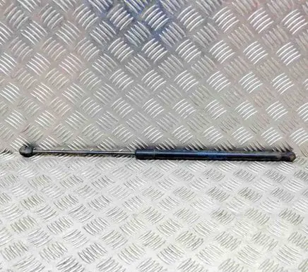 Tailgate/trunk strut/damper