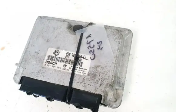 Volkswagen PASSAT B5 Engine control unit/module 038906018fh 0281001960