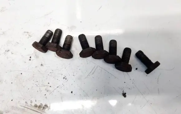 Nuts/bolts