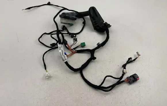 Dodge Charger Front door wiring loom 16238DC