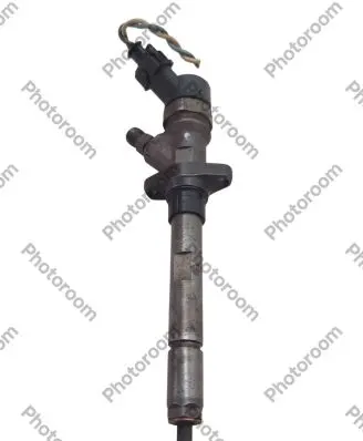 Peugeot 406 Fuel injector 0445110036 9637277980