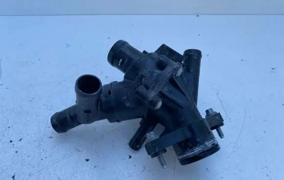Thermostat/thermostat housing