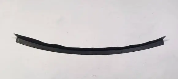 Maserati Quattroporte Tailgate trim 670014506