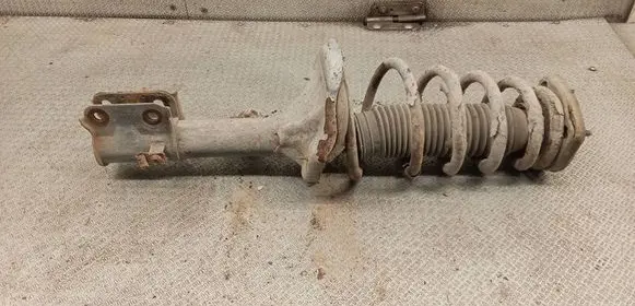 Hyundai Tucson JM Rear shock absorber with coil spring 